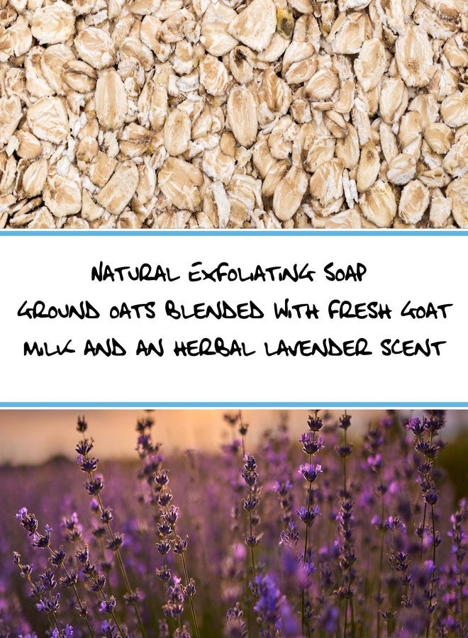  شركة بلوبيرد للصابون صابون بلو بيرد الطبيعي المصنوع من حليب الماعز برائحة اللافندر والشوفان | صابون طبيعي بالكامل مصنوع يدويًا بزيوت عضوية | صابون مقشر مصنوع من حليب الماعز والشوفان (لافندر وشوفان) - Image 3